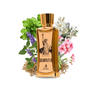 Cosmopolitan New York par Emir EDP 85ml