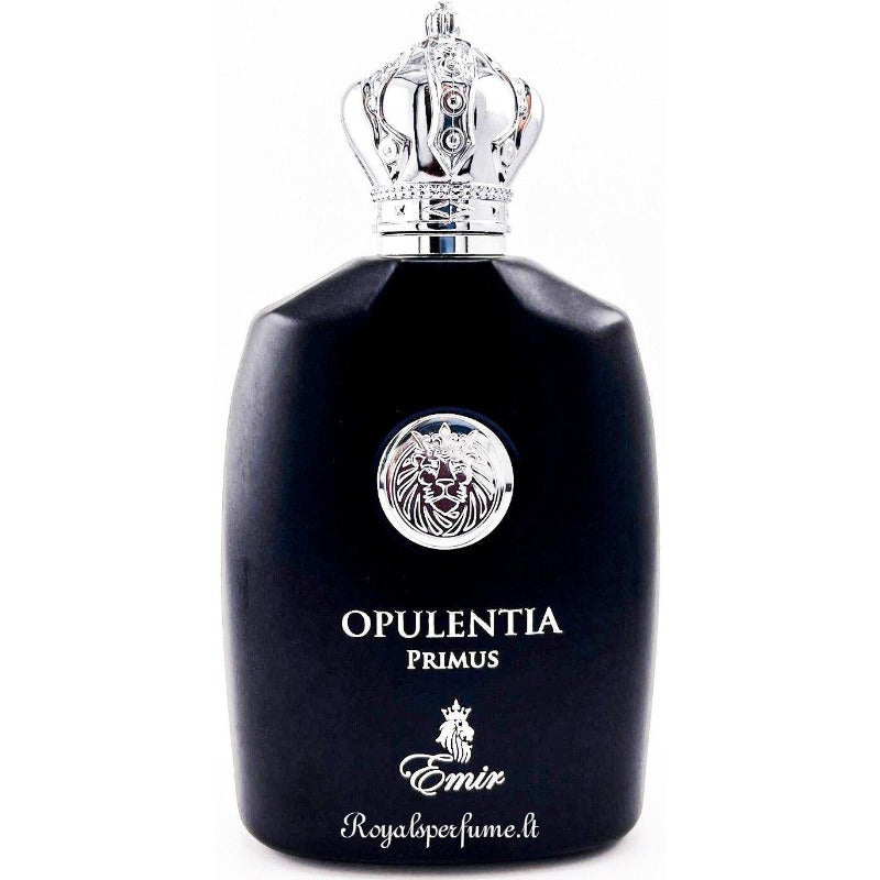 Emir Opulentia Primus парфюмированная вода для мужчин 100мл - Royalsperfume EMIR Все