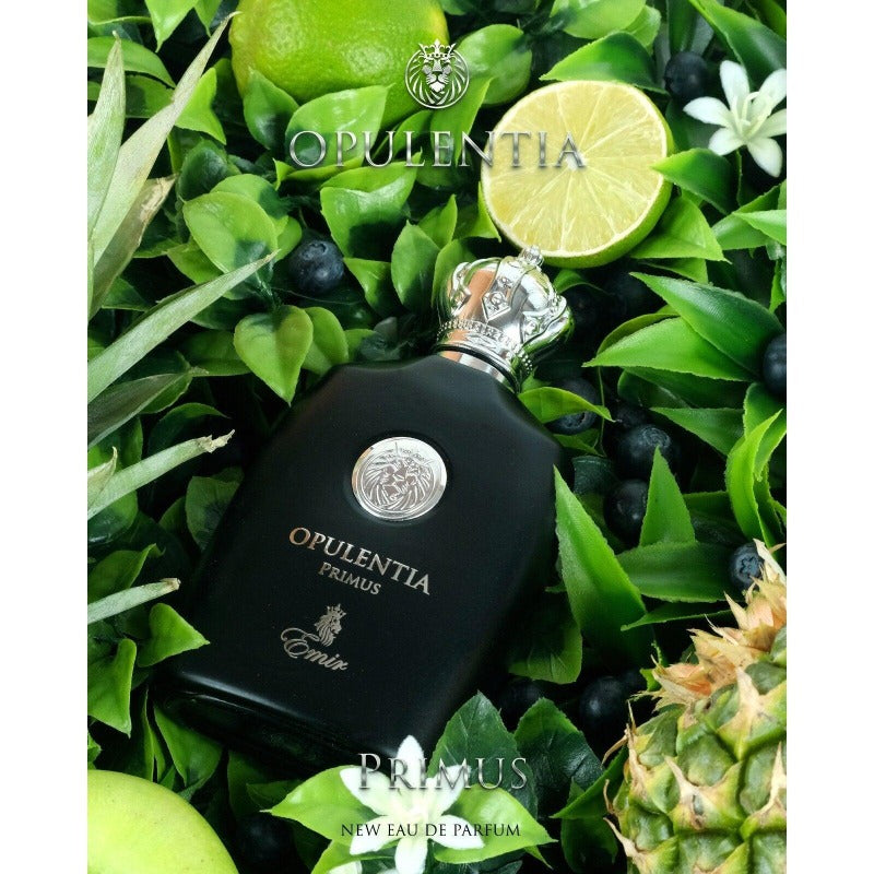 Emir Opulentia Primus eau parfumée pour homme 100ml - Royalsperfume EMIR