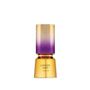 Hypnotic Gold de French Avenue EDP 100 ml