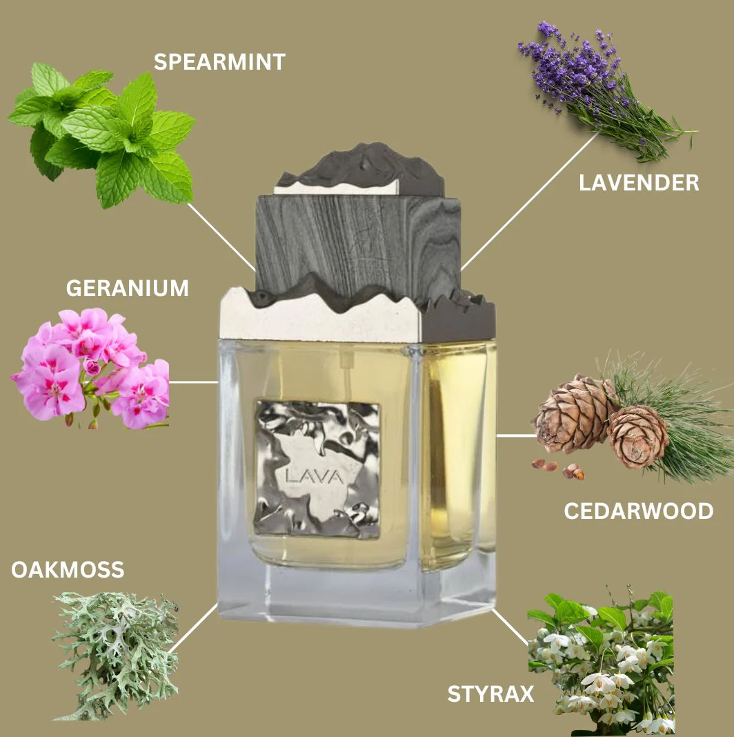 Lava by Maison Alhambra EDP 100ml unisex