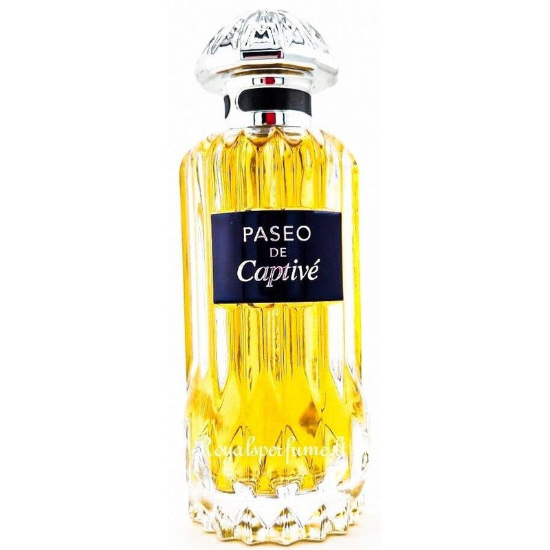PENDORA SCENTS Paseo De Captive eau parfumée pour homme 100 ml - Royalsperfume PENDORA SCENT