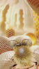Honeyed Fantasy de Pendora Scents EDP 100 ml